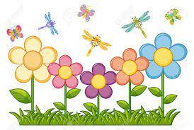 Praktične vježbe stručne prakse