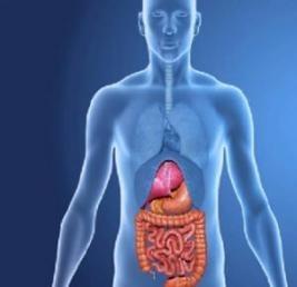 BIOLOGIJA 7 - ZAŠTO MI TREBA HRANA