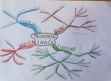 ŽIVIM U PRIMORSKOM ZAVIČAJU 
Kako izradit umnu mapu?
