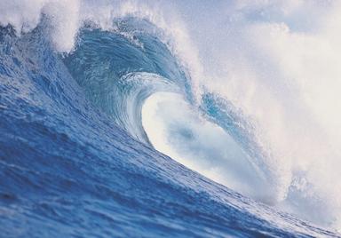 Josip Pupačić: More