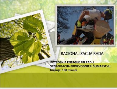 Organizacija proizvodnje u šumarstvu