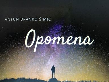 A. B. Šimić, Opomena