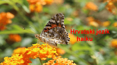 Hrvatski jezik- haiku pjesma 