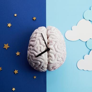 Prezentacije-Državna matura (fiziologija čovjeka i biljna fiziologija)