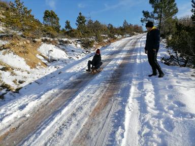 Kviz znanja i vještina - GIBANJE