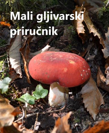 Mali gljivarski priručnik