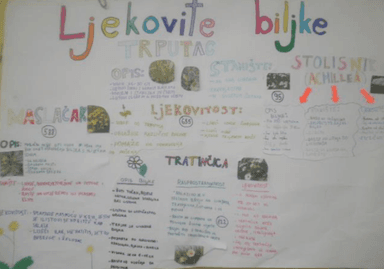 Ljekovite biljke u blizini škole