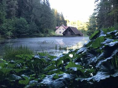 Zavičajni projekt Processus montanus 