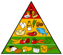 Matematikom do zdravlja