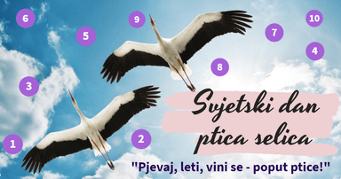 Međunarodni dan ptica selica