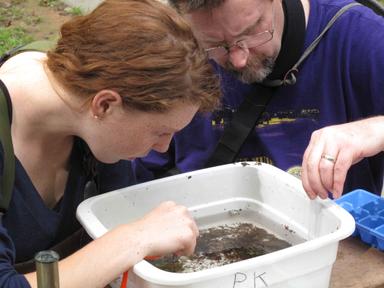 Etape rada u istraživanju učenika