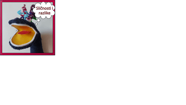 Slikovnica: Sličnosti i razlike