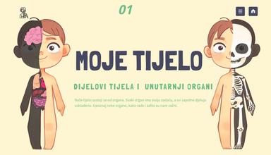 Dijelovi tijela i unutarnji organi