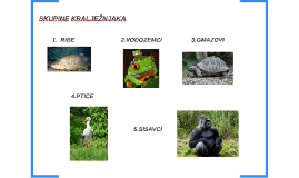 Kralježnjaci