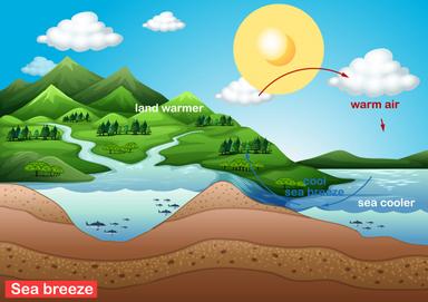 Ponavljanje nastavnih sadržaja Priroda 6. razred 