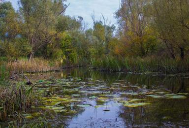 Kahoot kviz - vode stajaćice