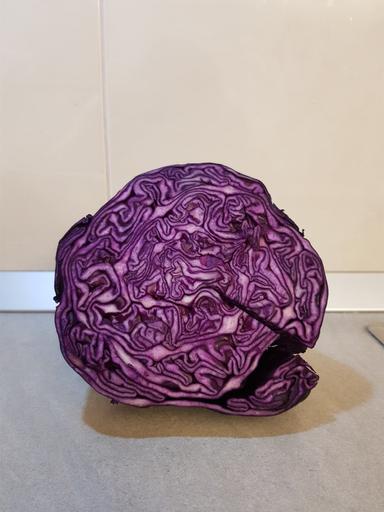 Istraživački rad - Prirodni indikatori