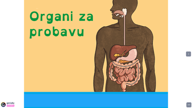 Organi za probavu