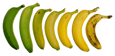 Provjera usvojenosti ishoda - ugljik i njegovi spojevi, ugljikovodici