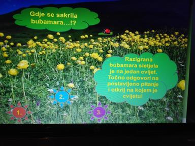 Igra potrage - Gdje se sakrila bubamara?