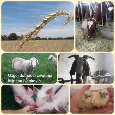 Priručnik za Uzgoj domaćih životinja