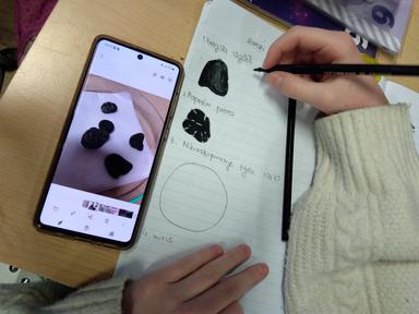 Izvanučionička nastava- Gljive