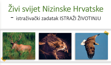 Istraži životinju Nizinske Hrvatske