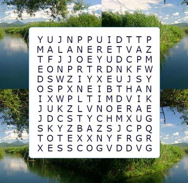 Osmosmjerka - Vode tekućice