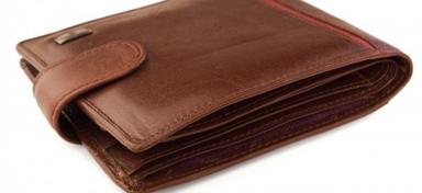 Poznavanje robe: Osnove tehnologije dobivanja kože