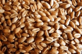 Prezentacija :Priča o pšenici