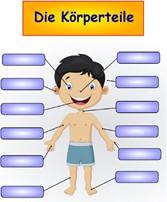 Die Körperteile - Wortschatz Spiel 