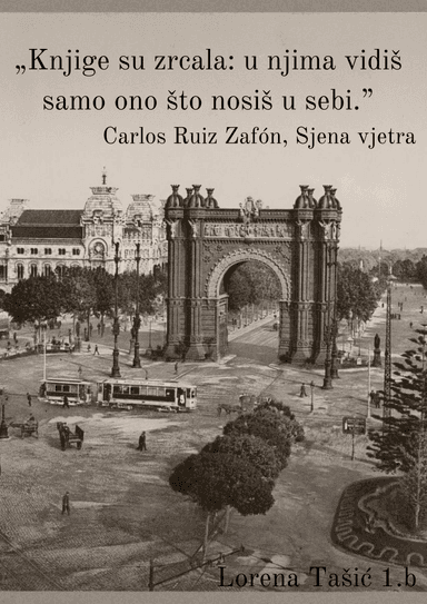 Sjena vjetra (izborna lektira)