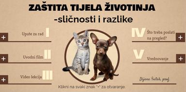 Zaštita tijela životinja