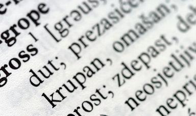 Stare i nove riječi