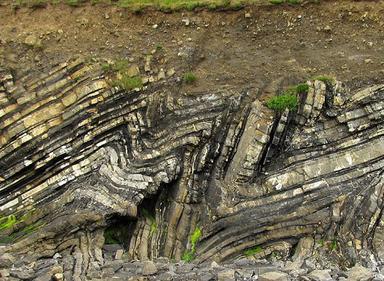 Bore, rasjedi i navlake - digitalni materijal izrađen u alatu Genially