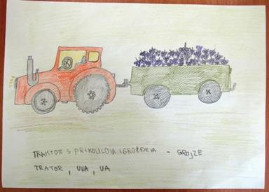 Zavičajna nastava - Projekt: Vinova loza 