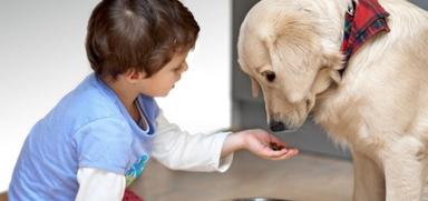 Utjecaj kućnih ljubimaca na zdravlje ljudi