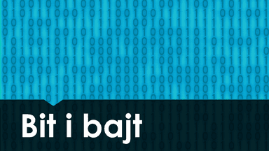 Bit i bajt