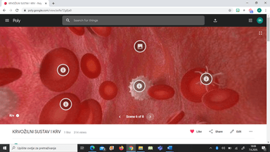 Prijenos tvari kroz organizam čovjeka