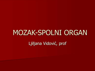 ppt Mozak-spolni organ