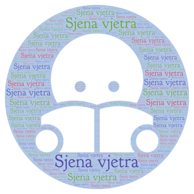 Kritički osvrt na roman Sjena vjetra