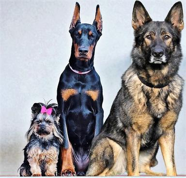 NJEMAČKI JEZIK 6 Superlativ