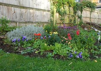 Projektni zadatak Cvjetnjak bake Marice 