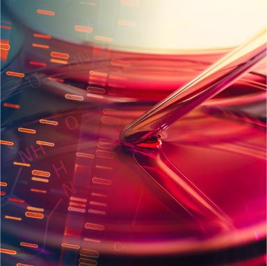 Poliester u brzoj modi