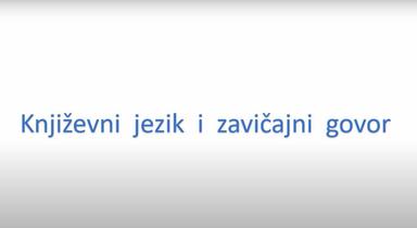 Književni jezik i zavičajni govor