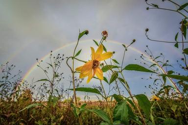 Genetika čovjeka u virtualnoj učionici