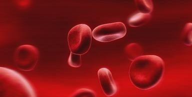 TJELESNA AKTIVNOST I NJEZINI ASPEKTI 2. Funkcionalne sposobnosti