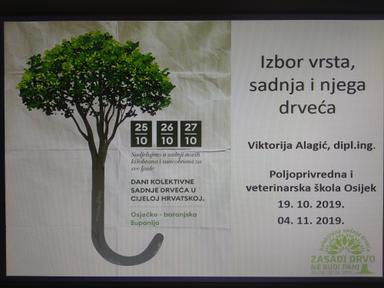 Zasadi drvo, ne budi panj