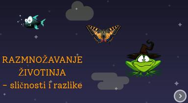 Razmnožavanje životinja - sličnosti i razlike