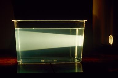 domaći rad za učenike iz koloida